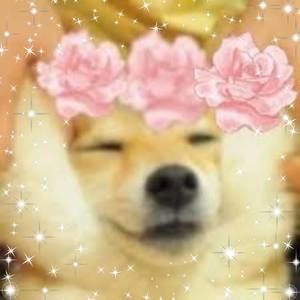 Meet your Posher, Ellie